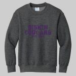 Youth Crewneck - Diskin Elementary Thumbnail